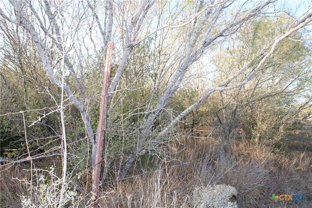 0000 CR 339, Jourdanton, TX 78026