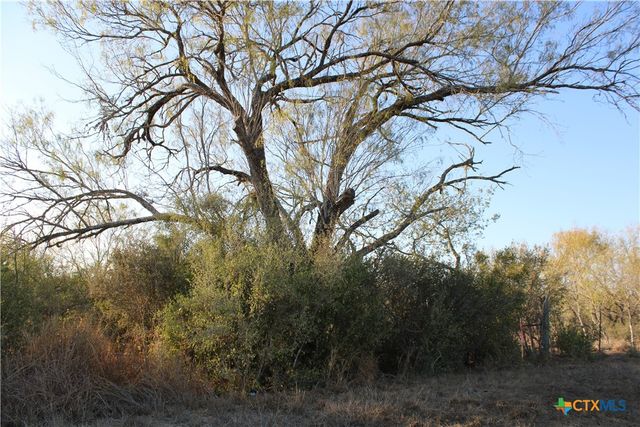 0000 CR 339, Jourdanton, TX 78026