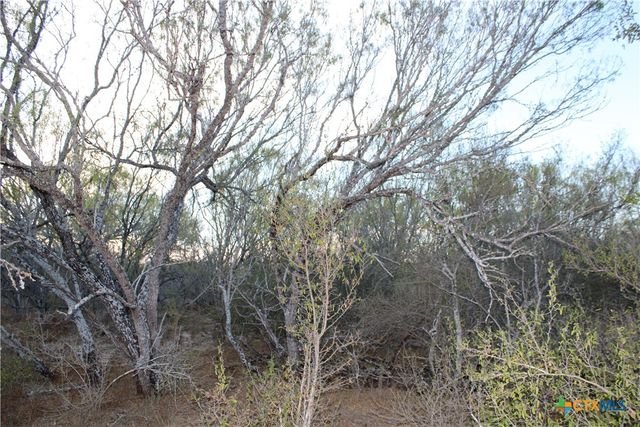 0000 CR 339, Jourdanton, TX 78026