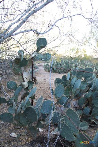 0000 CR 339, Jourdanton, TX 78026