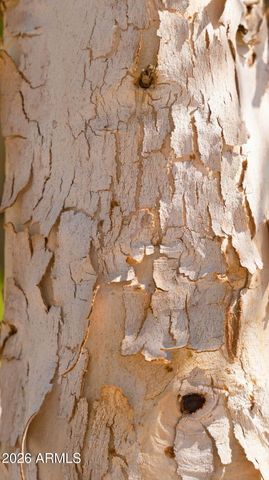 1918 W LARIAT Lane, Phoenix, AZ 85085