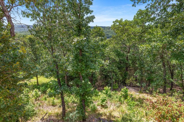 500 Briggs Road, Walnut Shade, MO 65771