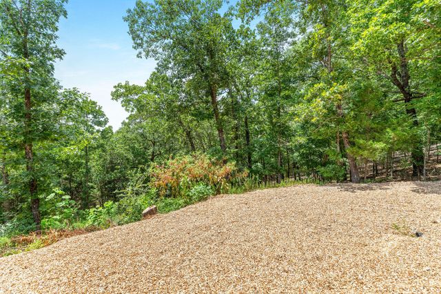 500 Briggs Road, Walnut Shade, MO 65771