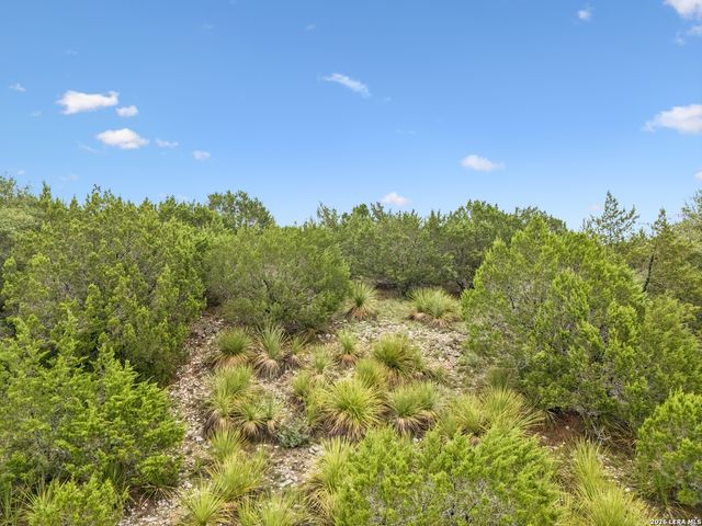 550 Blackbird Dr, Spring Branch, TX 78070