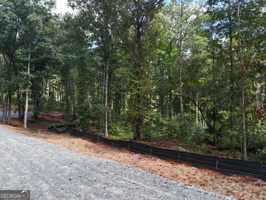 354 Sanford Oak Court TRACT 10, Nicholson, GA 30565 — photo 2