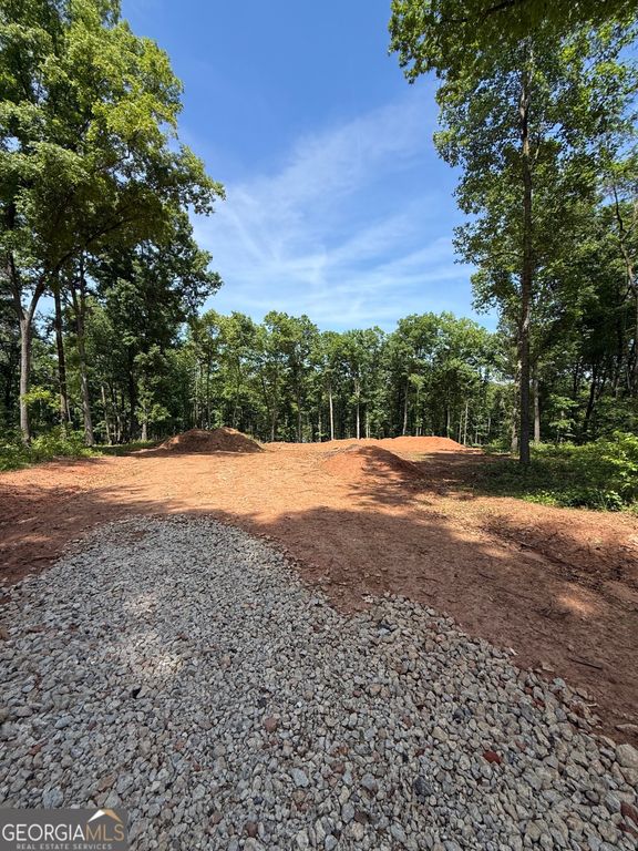 354 Sanford Oak Court TRACT 10, Nicholson, GA 30565 — photo 3