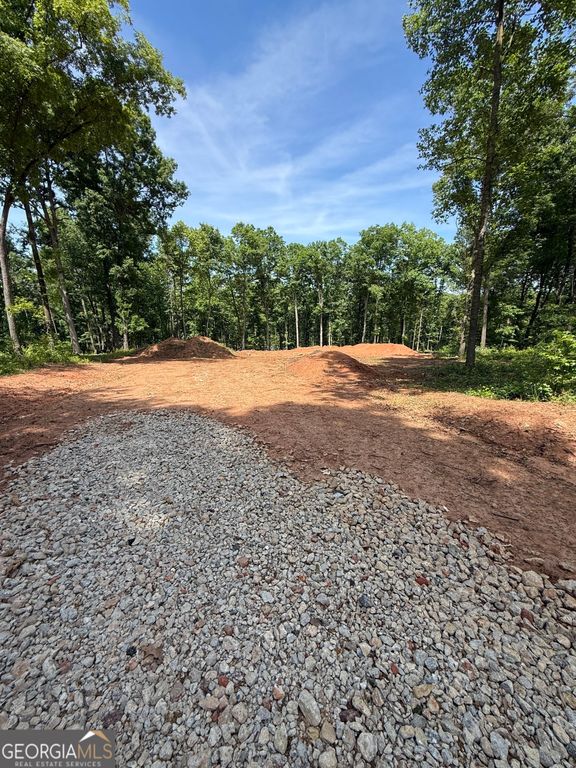 354 Sanford Oak Court TRACT 10, Nicholson, GA 30565 — photo 4