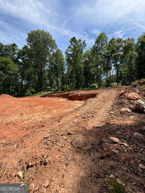 354 Sanford Oak Court TRACT 10, Nicholson, GA 30565 — photo 5