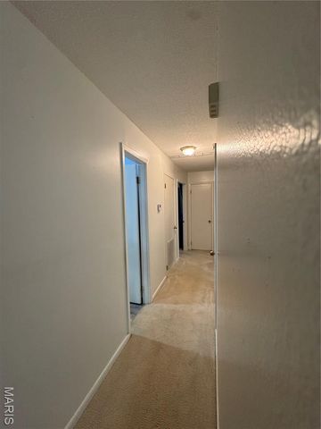 54 County Road 560, Poplar Bluff, MO 63901