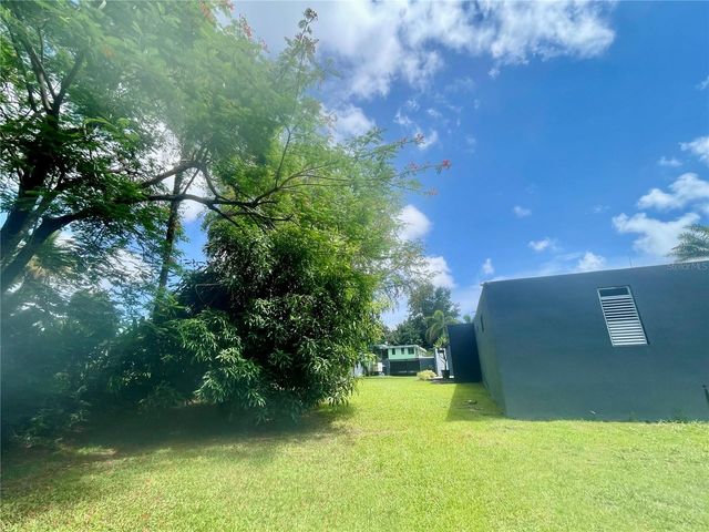 C-3 GREEN VALLEY DRIVE C-3, Caguas, PR 00725