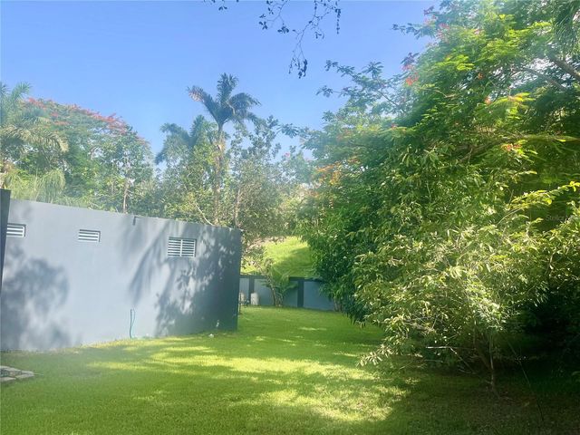 C-3 GREEN VALLEY DRIVE C-3, Caguas, PR 00725