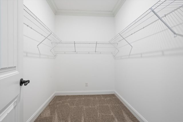 350 Country Glen Avenue, Graniteville, SC 29829