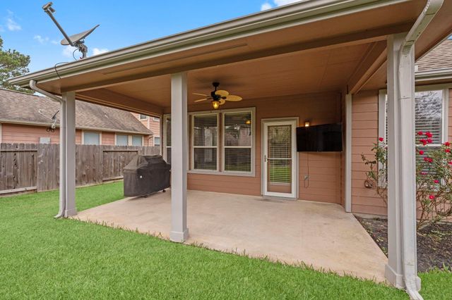 15 Patina Pines Place, The Woodlands, TX 77381