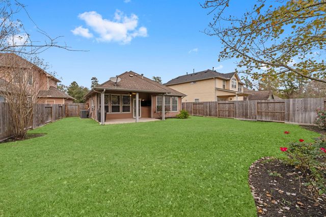 15 Patina Pines Place, The Woodlands, TX 77381