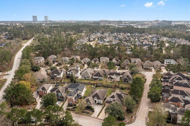 15 Patina Pines Place, The Woodlands, TX 77381