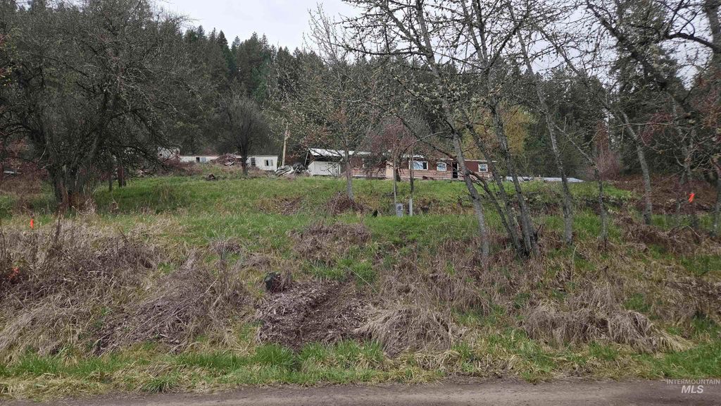 TBD Pine St Blk 43, Lot 2, Peck, ID 83545