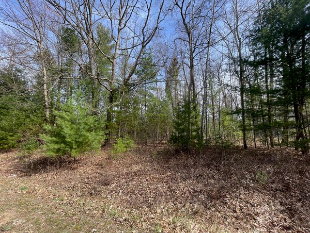 Lot 1 Hidden Hills Road, Houghton Lake, MI 48629