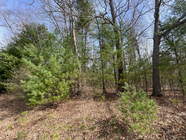 Lot 1 Hidden Hills Road, Houghton Lake, MI 48629