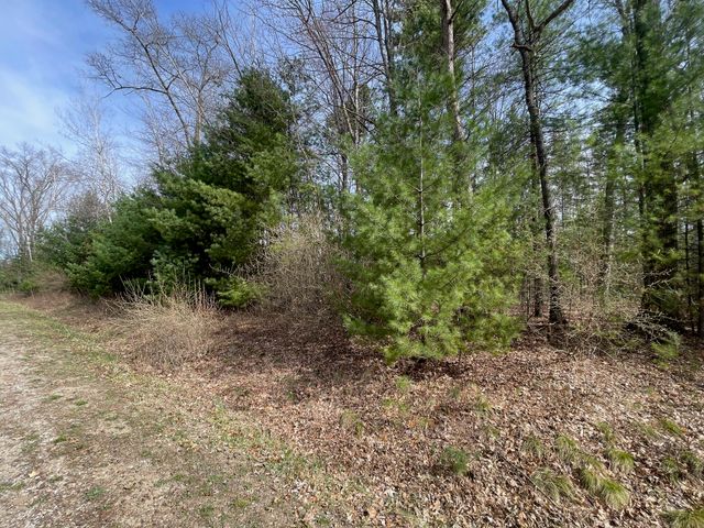 Lot 1 Hidden Hills Road, Houghton Lake, MI 48629