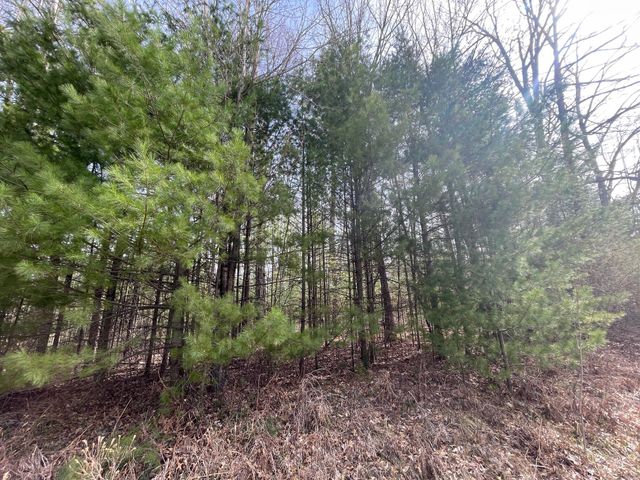 Lot 1 Hidden Hills Road, Houghton Lake, MI 48629