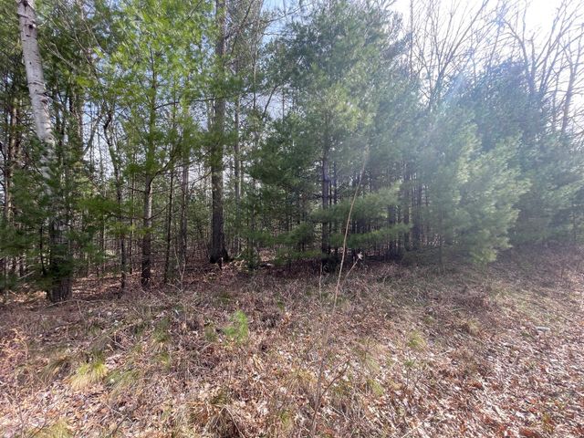 Lot 1 Hidden Hills Road, Houghton Lake, MI 48629