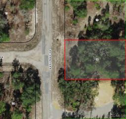 6491 N Killinger Terrace, Citrus Springs, FL 34433