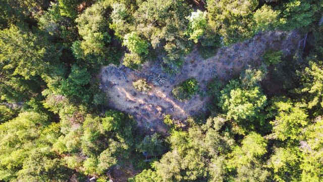 520 Laguna Creek, Los Gatos, CA 95033