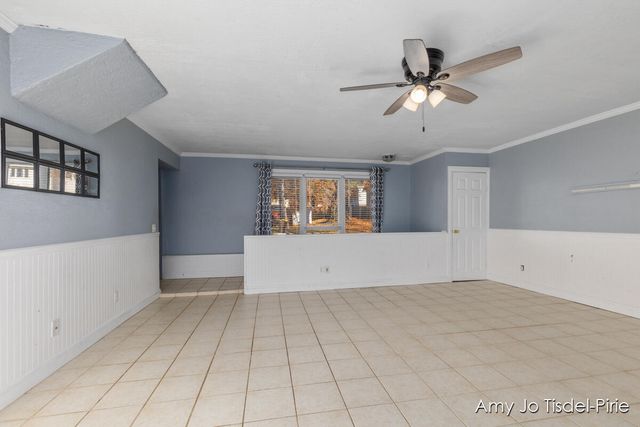 811 Branch Street, Ionia, MI 48846