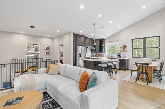 180 Pine Cone Way, Fairplay, CO 80440