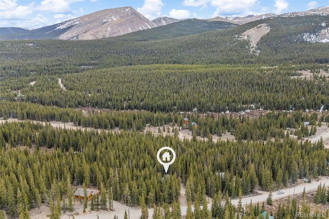 180 Pine Cone Way, Fairplay, CO 80440