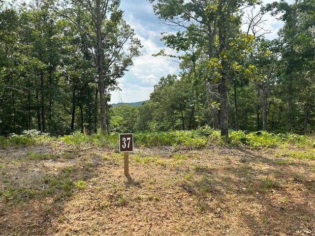 37 Blalock Mountain Road, Ellijay, GA 30540