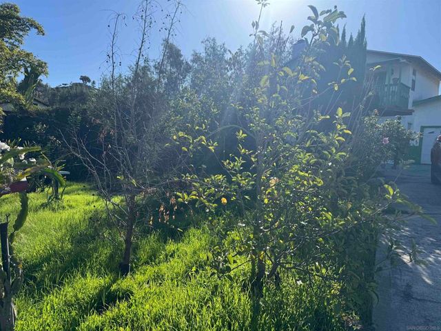 9317 Lamar Street, Spring Valley, CA 91977