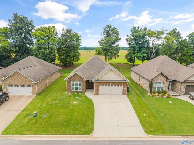 29073 Stonehenge Drive, Toney, AL 35773