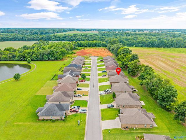 29073 Stonehenge Drive, Toney, AL 35773
