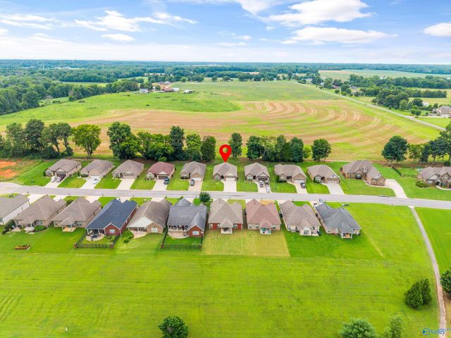 29073 Stonehenge Drive, Toney, AL 35773