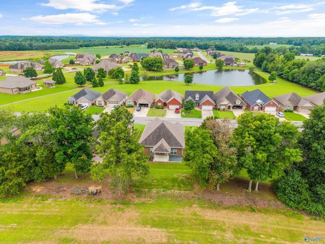 29073 Stonehenge Drive, Toney, AL 35773