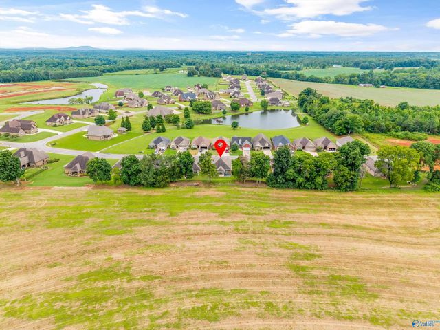 29073 Stonehenge Drive, Toney, AL 35773