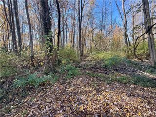 0 Butler Avenue, Seneca Falls, NY 13148