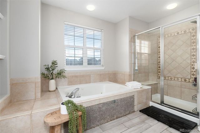 3920 Sunridge Terrace Drive, Castle Rock, CO 80109
