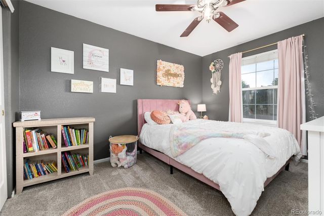 3920 Sunridge Terrace Drive, Castle Rock, CO 80109