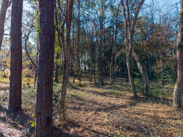 9017 Ocean Harbour Golf Club Drive SW, Calabash, NC 28467