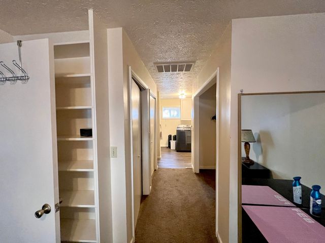 61 Allen Drive, Theodosia, MO 65761