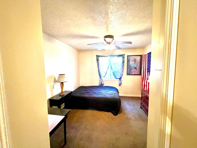 61 Allen Drive, Theodosia, MO 65761