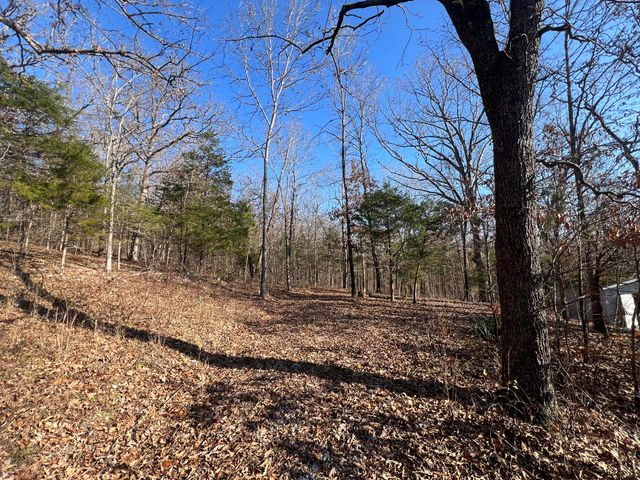 61 Allen Drive, Theodosia, MO 65761