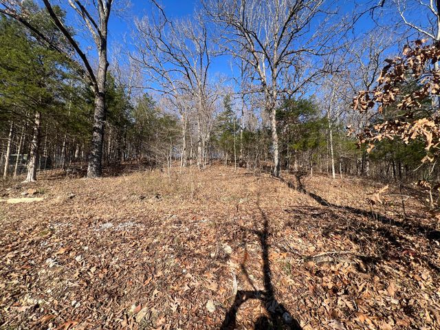 61 Allen Drive, Theodosia, MO 65761