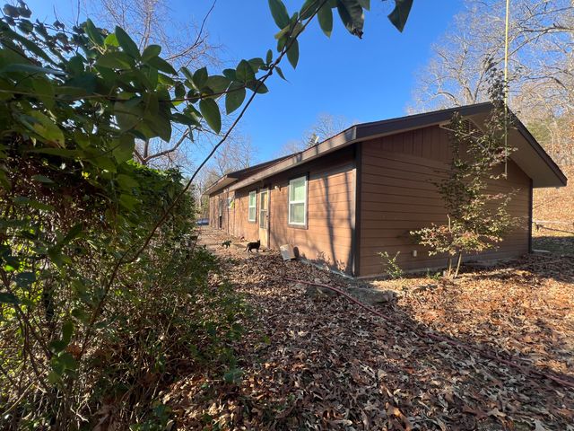 61 Allen Drive, Theodosia, MO 65761