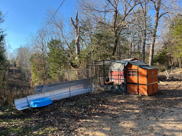 61 Allen Drive, Theodosia, MO 65761