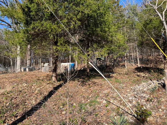 61 Allen Drive, Theodosia, MO 65761