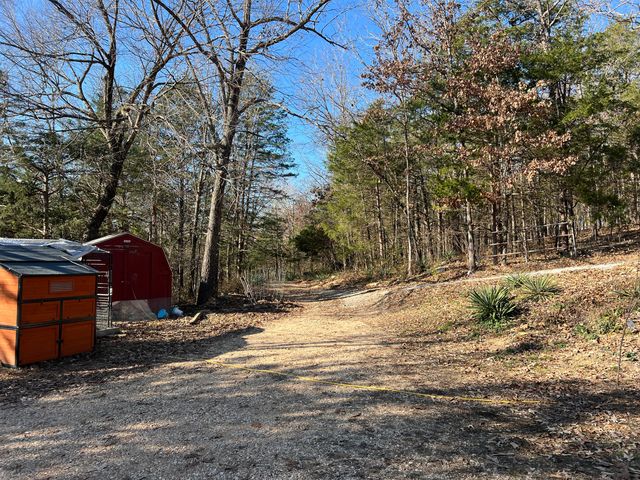 61 Allen Drive, Theodosia, MO 65761