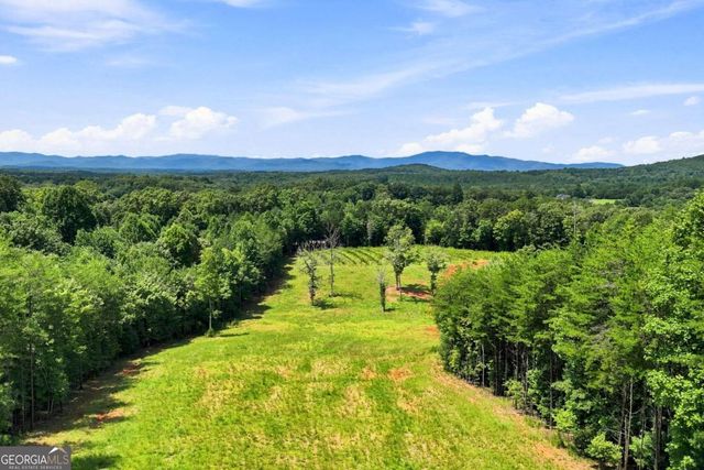 1175 Wolfcreek Road, Murphy, NC 28906